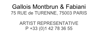 Gallois Montbrun & Fabiani
75 RUE de TURENNE, 75003 PARIS

ARTIST REPRESENTATIVE
P +33 (0)1 42 78 36 55

